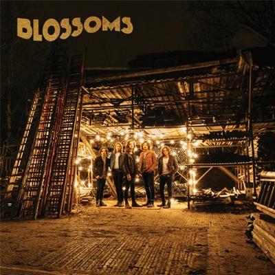 Blossoms - Blossoms