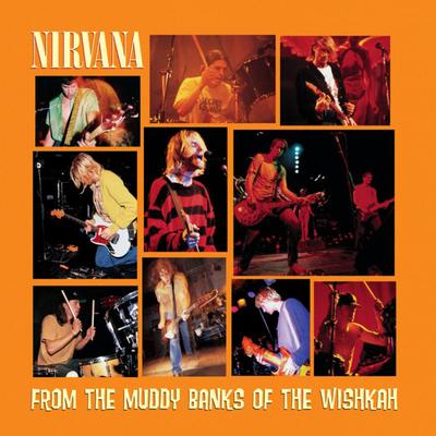 Nirvana - From The Muddy Banks Of The Wishkah (2LP)