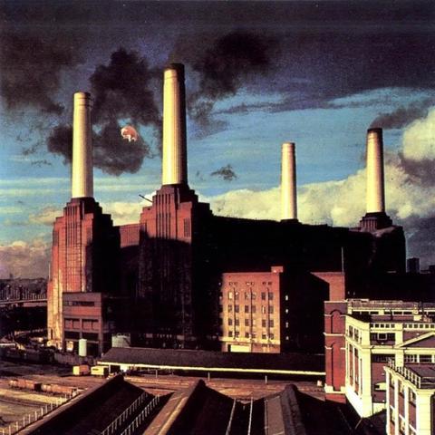 Pink Floyd - Animals (udsolgt)