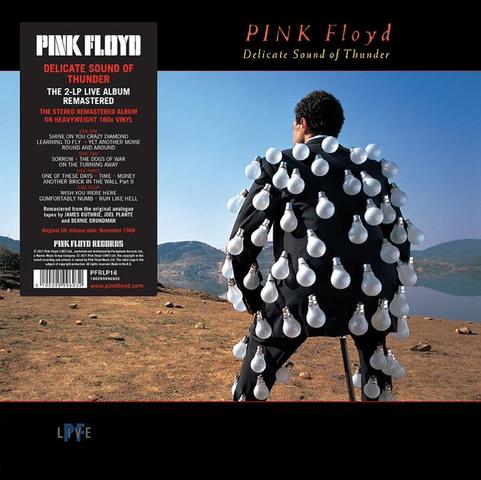 Pink Floyd - Delicate Sound Of Thunder (2LP) (udsolgt)